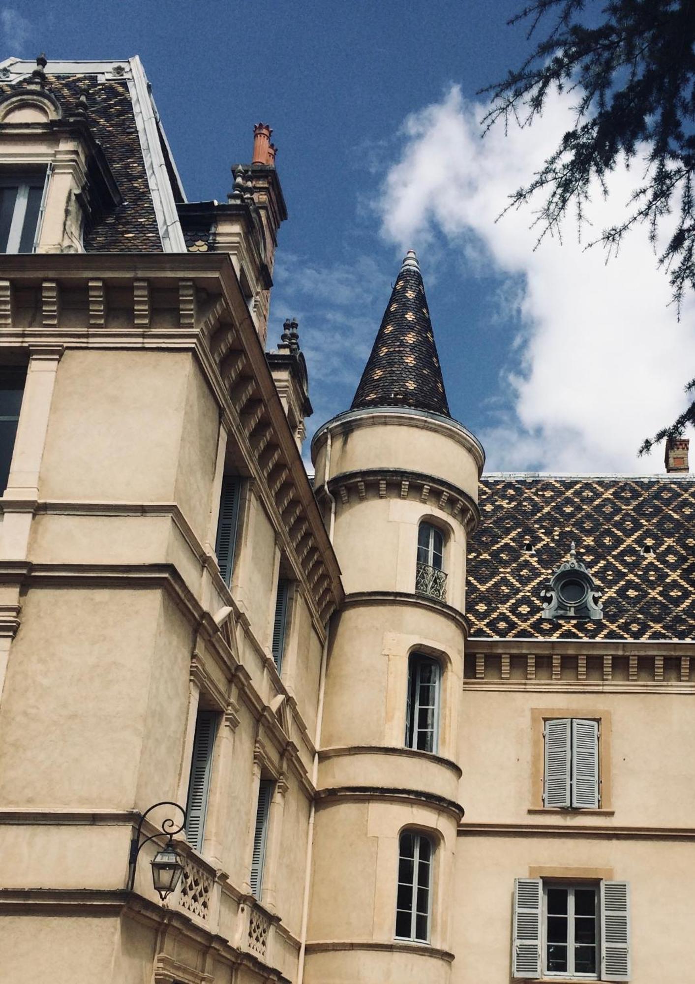 Appartement Château Randin Écully Extérieur photo